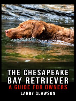 cover image of The Chesapeake Bay Retriever